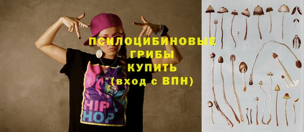 соль ск Богданович