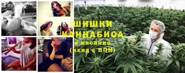 соль ск Богданович